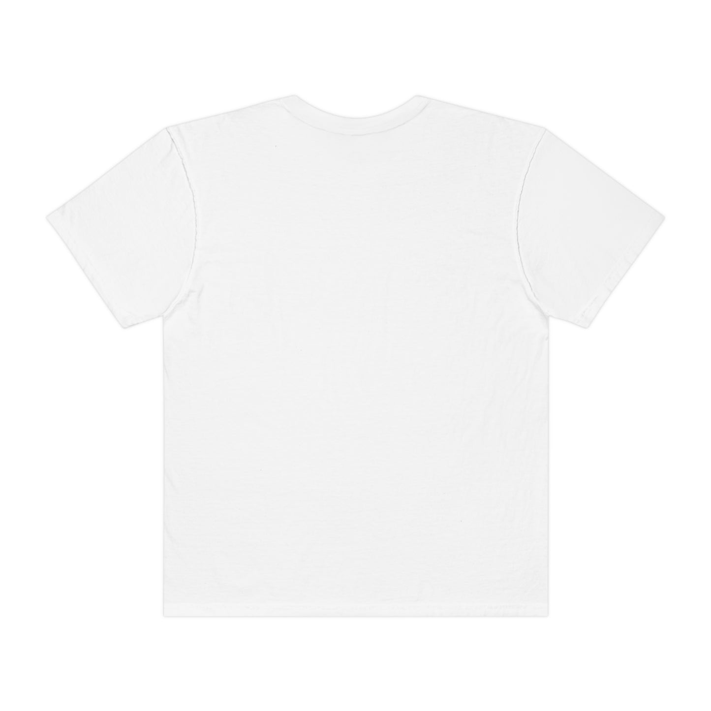 Frank Ocean's Blonde Unisex heavyweight t-shirt